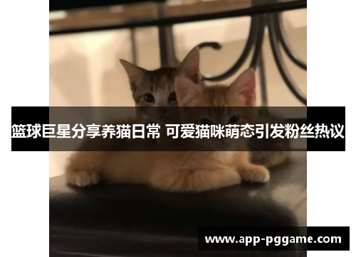 篮球巨星分享养猫日常 可爱猫咪萌态引发粉丝热议